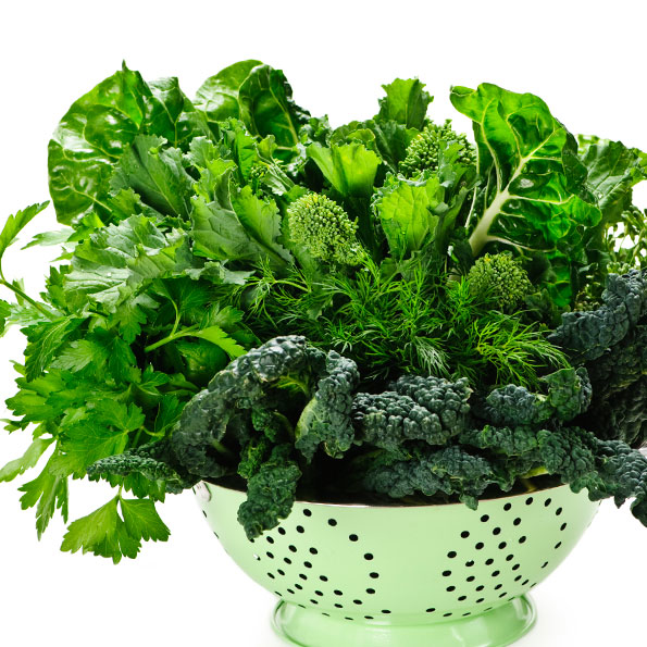 vegetais -greens-image014-dark-leafy-green-clipart_595-595